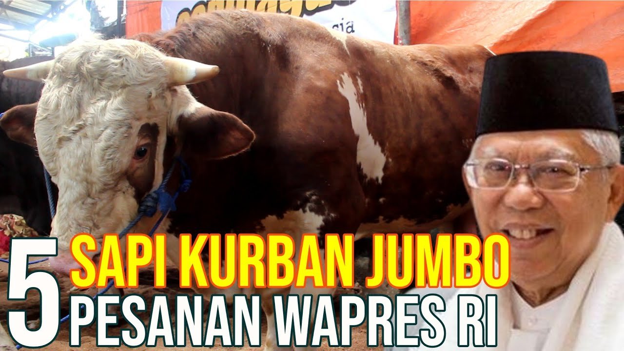 
                                 5-Sapi-Qurban-Jumbo-Pesanan-Wapes-RI